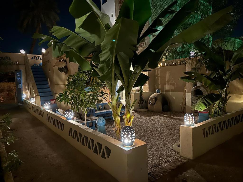 Villa Rebecca Professor'S Paradise Louxor Extérieur photo